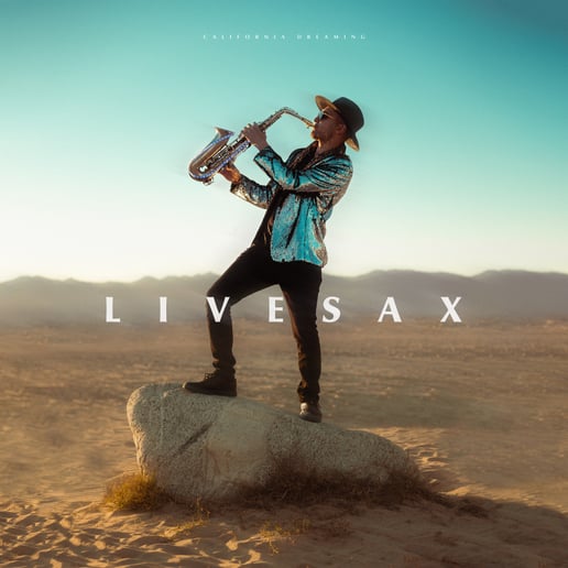 Gallery photo 12 of LiveSaX