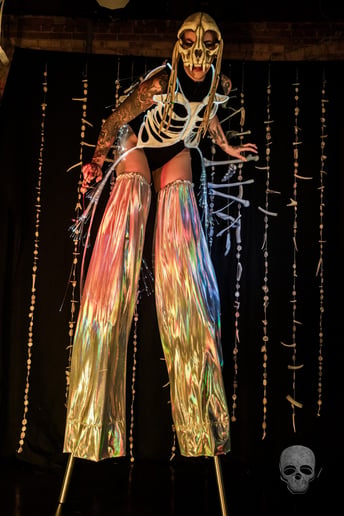 Gallery photo 8 of LIVEWIRE