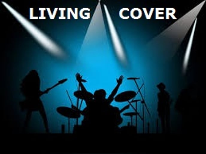Gallery photo 30 of Living Cover Band