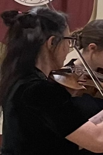 Gallery photo 2 of Living Violin