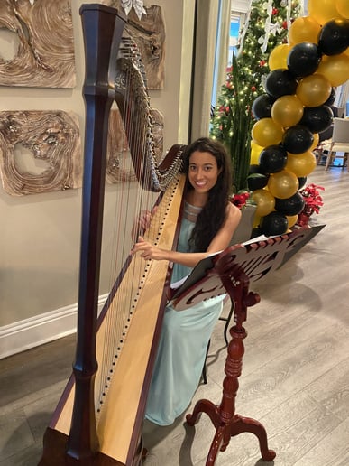 Gallery photo 7 of LivThroughMusic