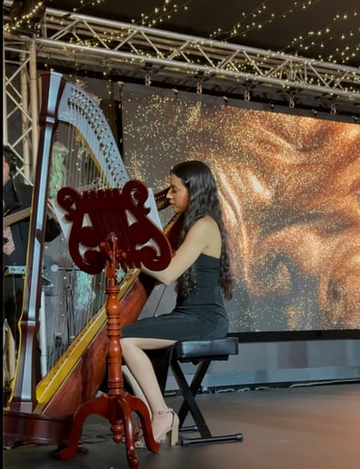 Gallery photo 1 of LivThroughMusic