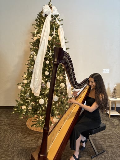 Gallery photo 3 of LivThroughMusic