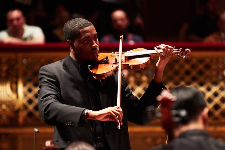 Gallery photo 7 of LjViolinist