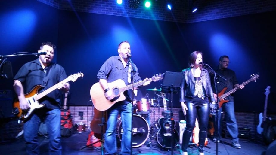 Gallery photo 1 of Llew Brown Band