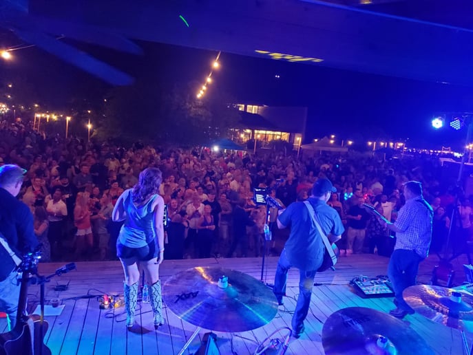 Gallery photo 3 of Llew Brown Band