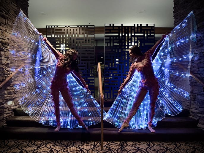 Gallery photo 5 of Moonveil Aerial