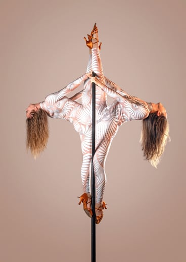 Gallery photo 1 of Moonveil Aerial