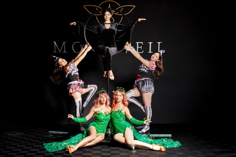 Gallery photo 2 of Moonveil Aerial