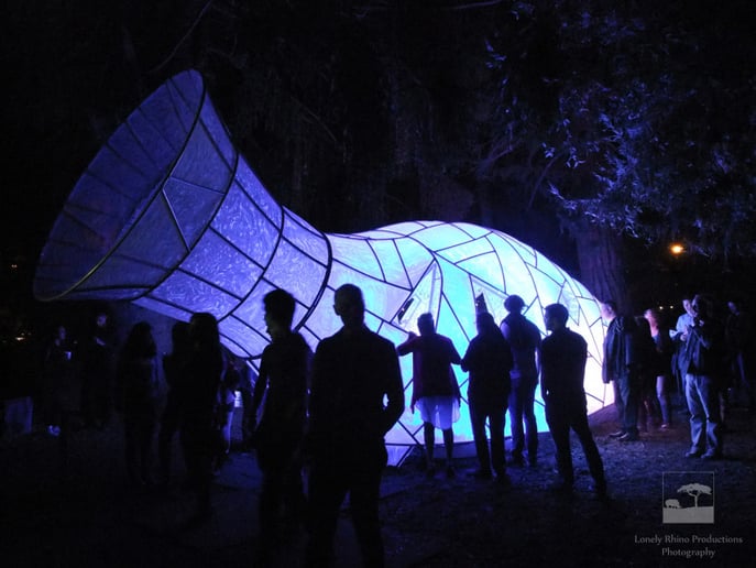 Gallery photo 6 of Lonely Rhino Productions