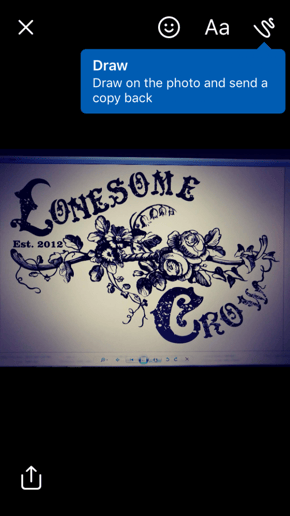 Gallery photo 4 of Lonesome crow