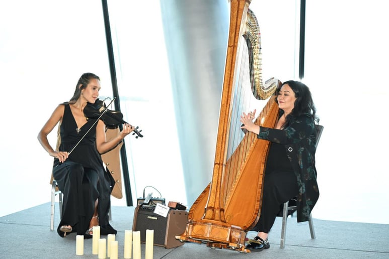 Gallery photo 10 of Elegant classical, electronic violinist