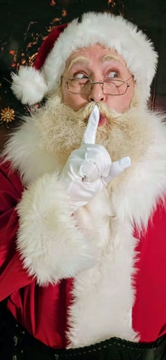 Gallery photo 3 of Lord & Lady Christmas LLC