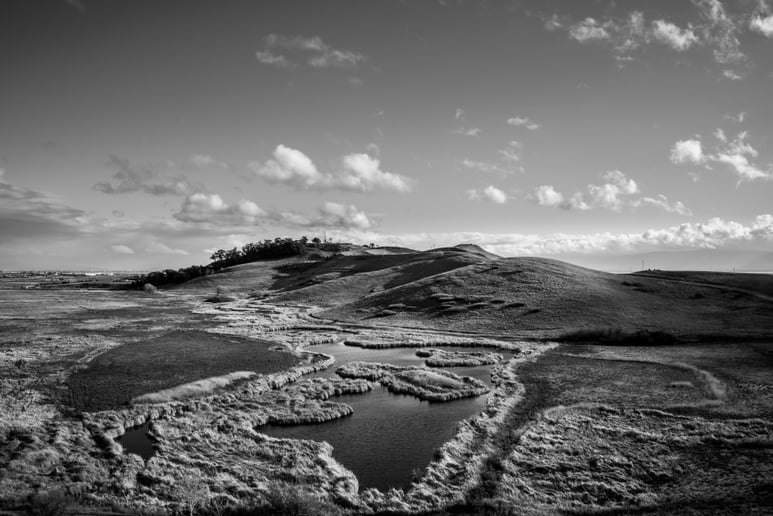 Gallery photo 34 of LorenzX Photo