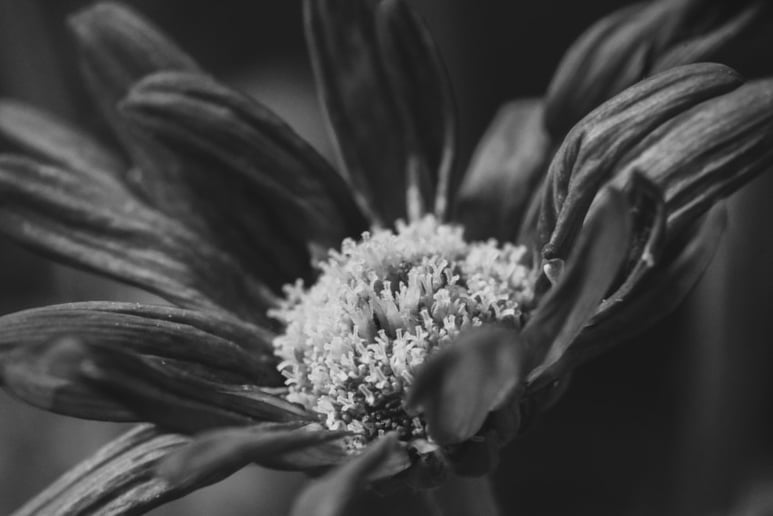 Gallery photo 37 of LorenzX Photo