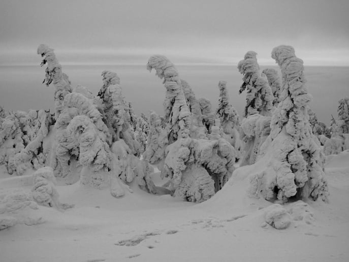 Gallery photo 38 of LorenzX Photo