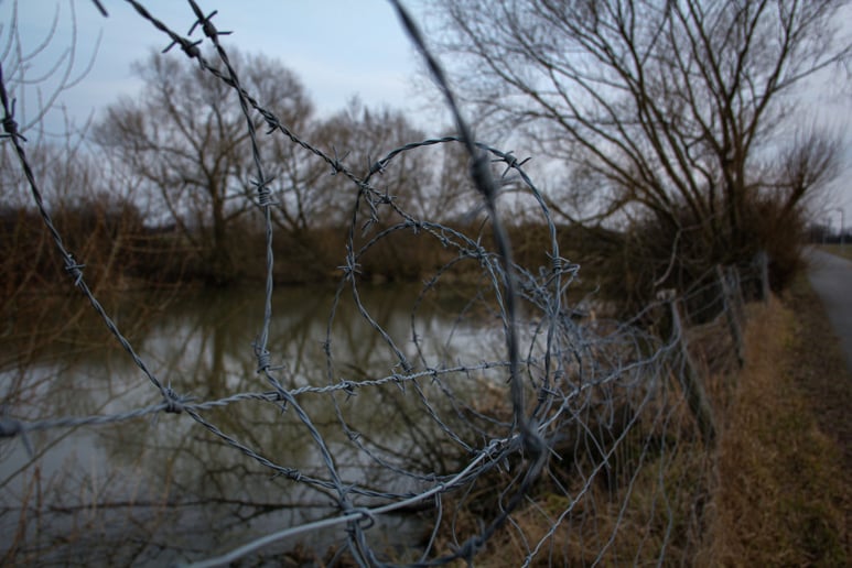 Gallery photo 53 of LorenzX Photo