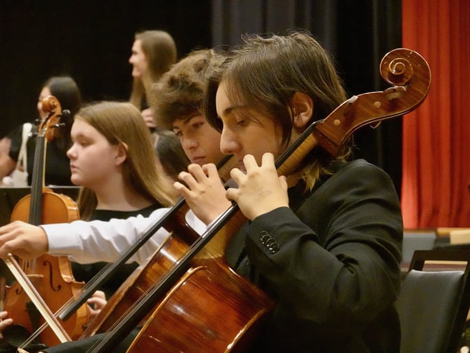Gallery photo 4 of Ava B - Solo Cellist and Classical Ensemble