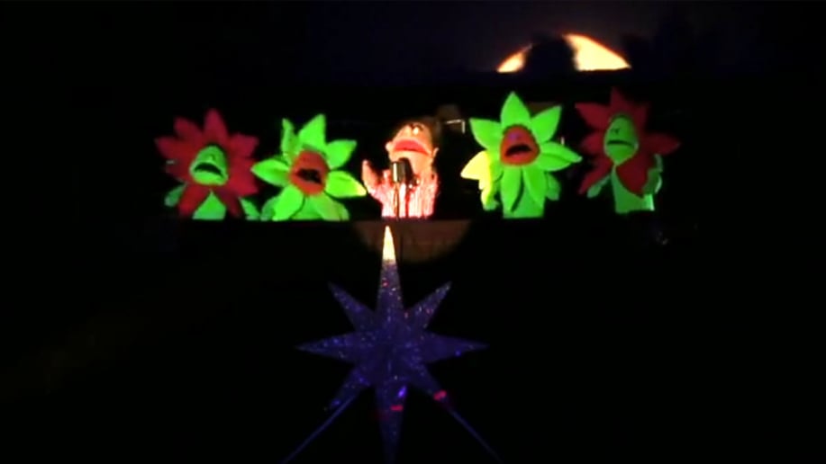 Gallery photo 4 of Los Soldaditos Puppet Show