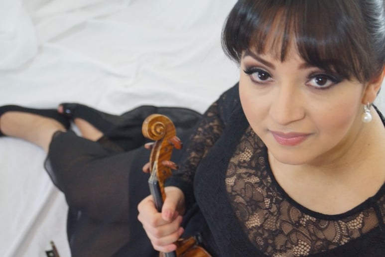 Gallery photo 1 of Lotus String Quartet