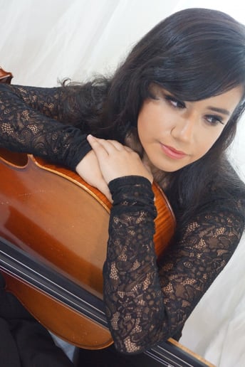 Gallery photo 2 of Lotus String Quartet