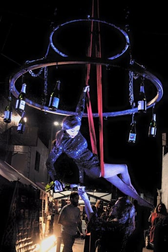 Gallery photo 3 of Lovely Hearts Aerial Arts