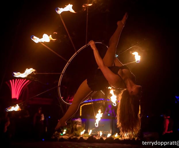 Gallery photo 6 of Lovely Hearts Aerial Arts