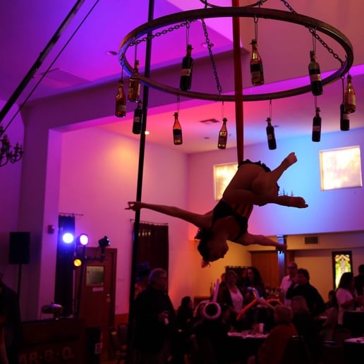 Gallery photo 1 of Lovely Hearts Aerial Arts