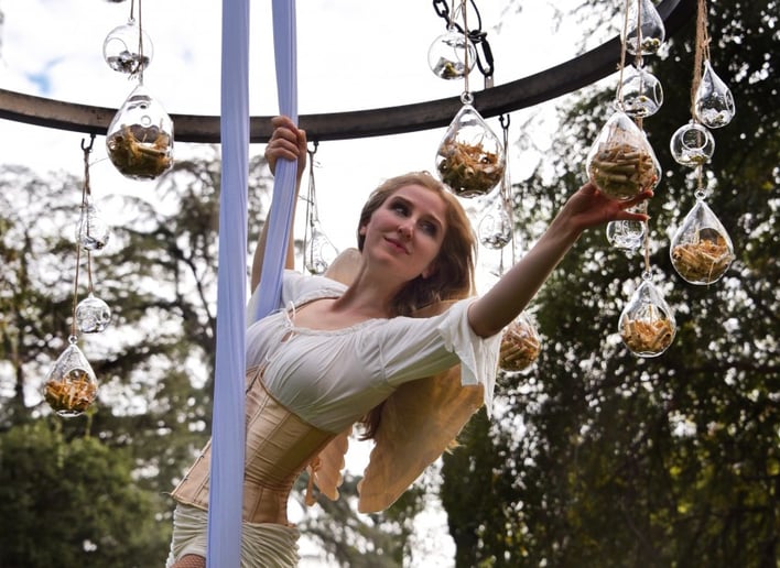 Gallery photo 10 of Lovely Hearts Aerial Arts