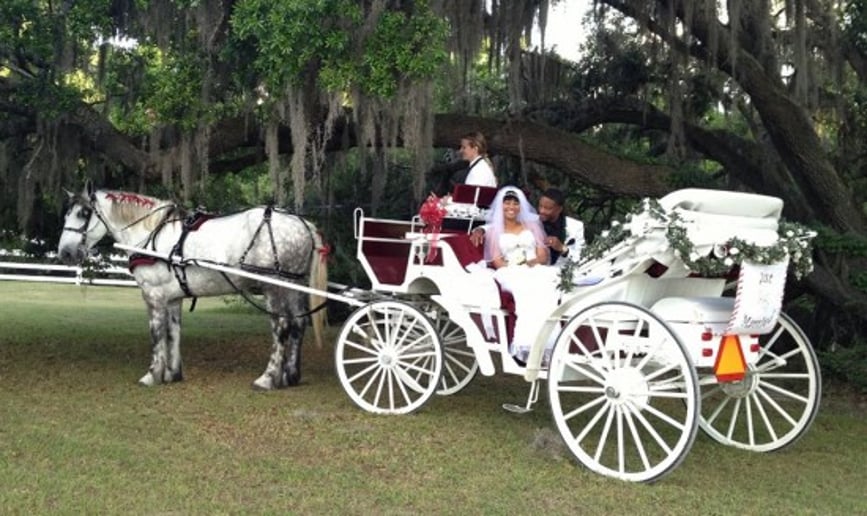 Gallery photo 2 of Lowcountry Carriage