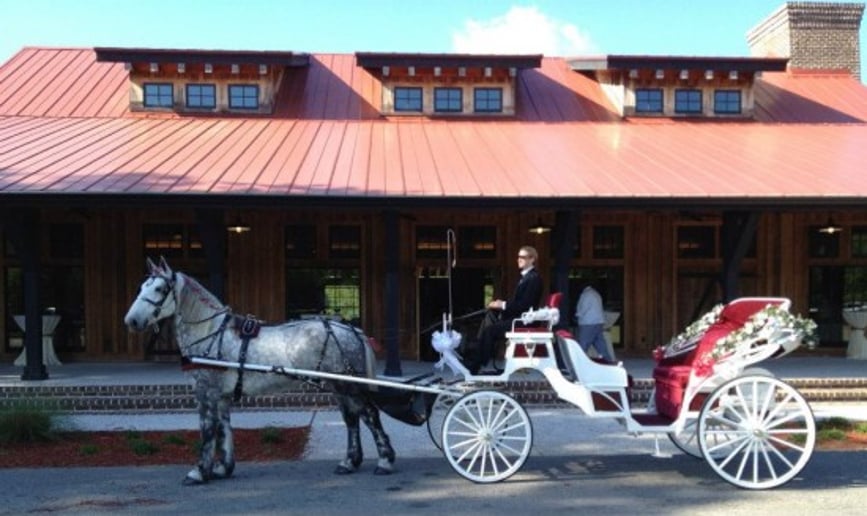 Gallery photo 3 of Lowcountry Carriage