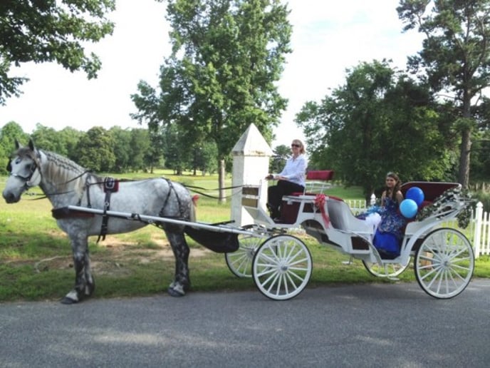 Gallery photo 4 of Lowcountry Carriage