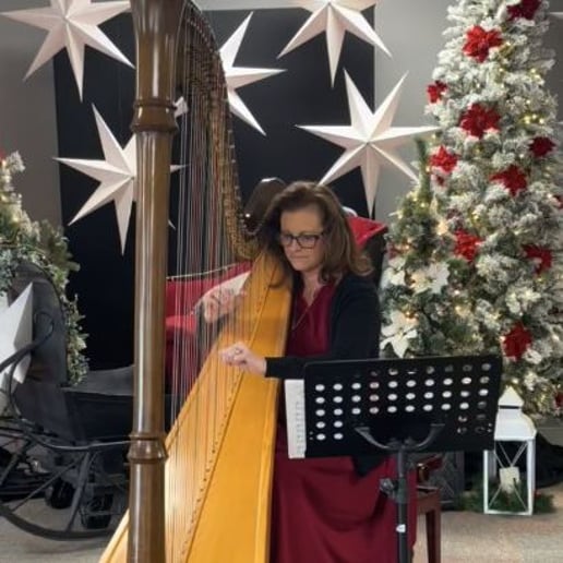 Gallery photo 2 of Harps & Bows of Philly/South Jersey