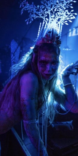 Gallery photo 2 of Lucid Harlequin