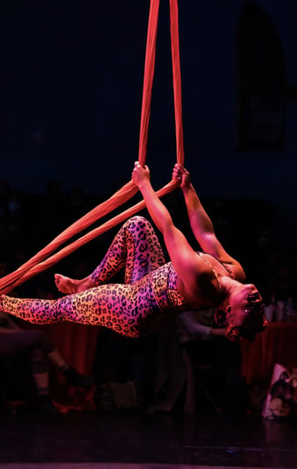 Gallery photo 1 of Lucretia