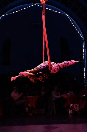Gallery photo 2 of Lucretia