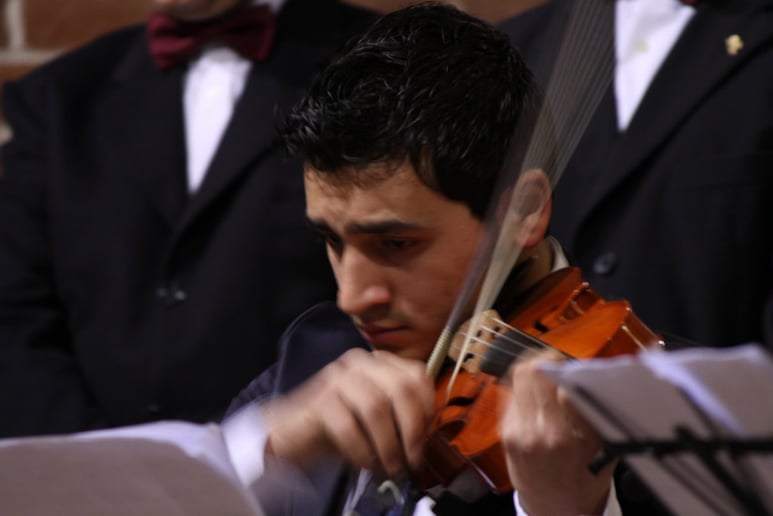 Gallery photo 6 of Luigi Nicolae