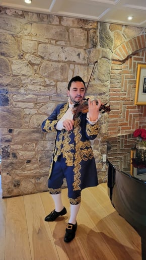 Gallery photo 11 of Victorian Violinist Luigi Nicolae