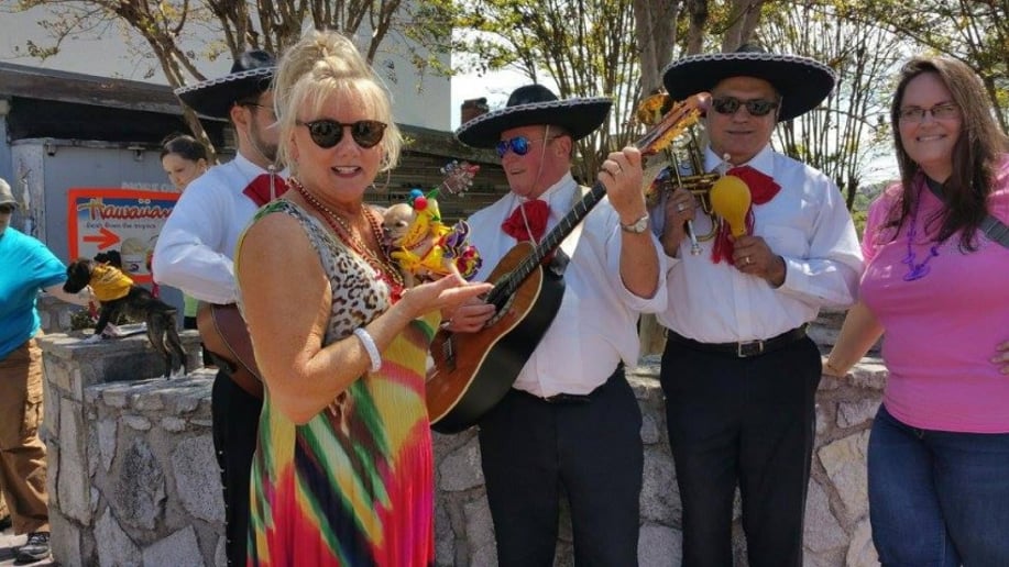 Gallery photo 20 of Los Amigos Music