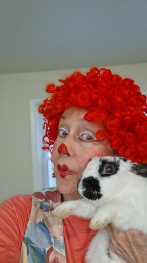 Gallery photo 19 of Lulu and Friends