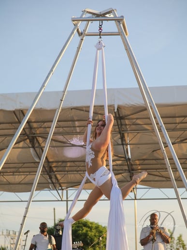 Gallery photo 5 of Luminarts Entertainment