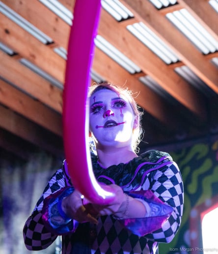 Gallery photo 8 of Luminarts Entertainment