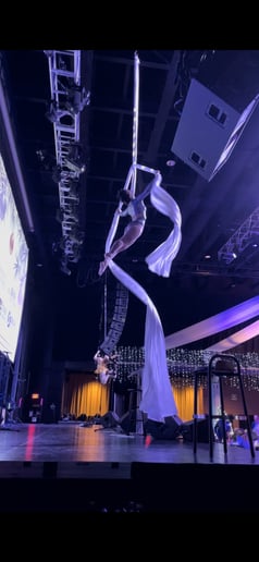 Gallery photo 1 of Jungle Aerial Arts & Circus