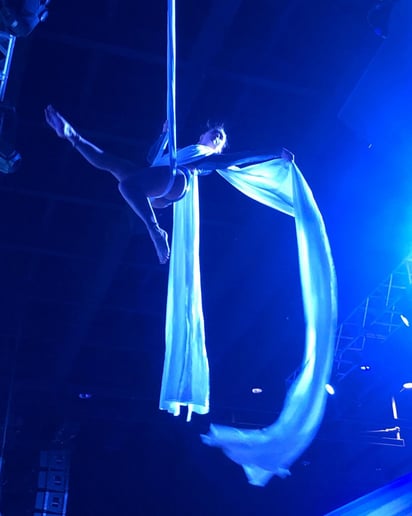 Gallery photo 2 of Jungle Aerial Arts & Circus