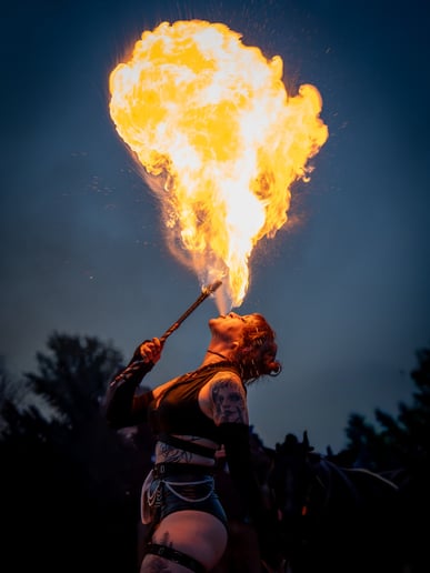 Gallery photo 8 of Luna Faun Fire