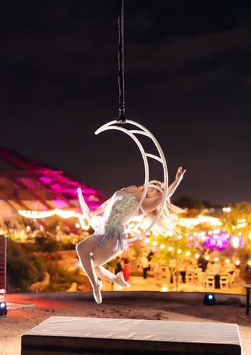 Gallery photo 7 of Luna Sky Dance