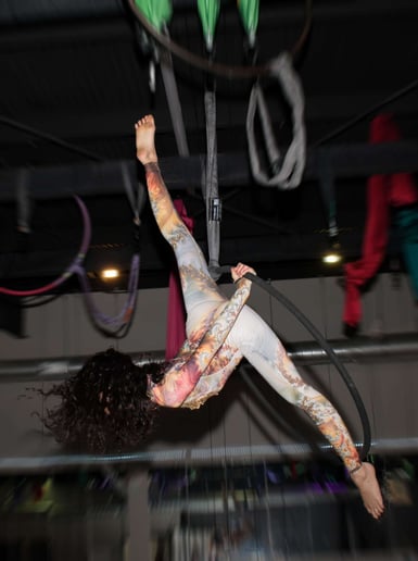 Gallery photo 2 of Sofia Fauna