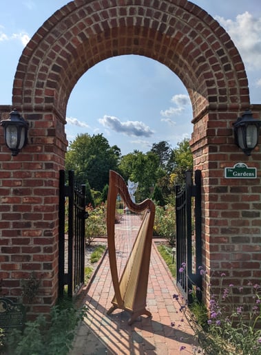Gallery photo 4 of Lune River Harp Studio