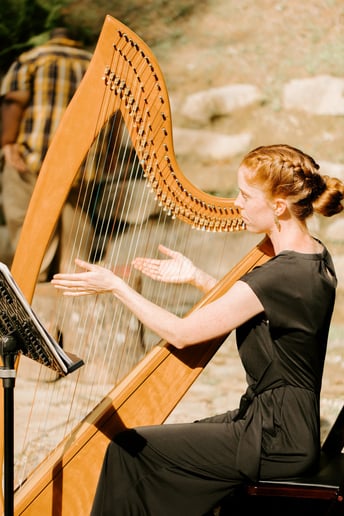 Gallery photo 6 of Lune River Harp Studio