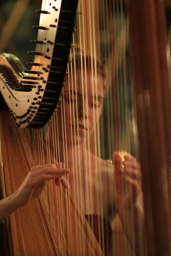 Gallery photo 7 of Lune River Harp Studio